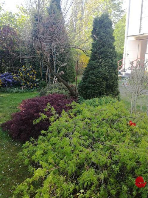 Apartamento Hradiska Jablonné nad Orlicí Exterior foto